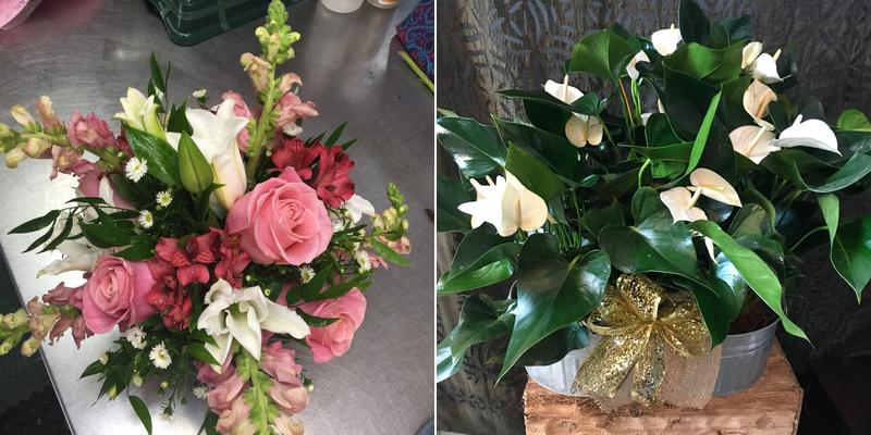 Seasons Design Group