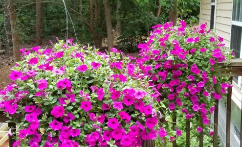 Sunny Hill Greenhouses-Nursery 1510 Ridgeway Rd, Canon Georgia 30520