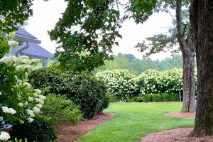 The Garden Cottage Event Co