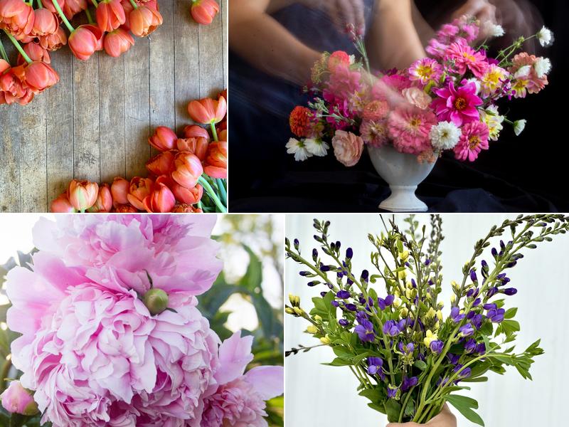 Finding Eminence Farm