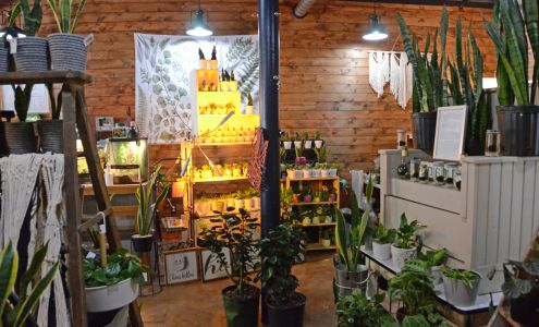 Petals By Peyton 552 1st St, La Salle Illinois 61301