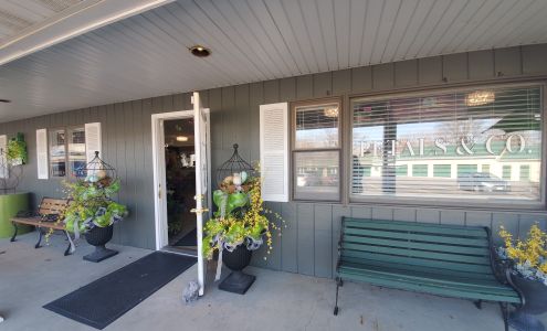Petals & Co 130 S John St, Rochester Illinois 62563