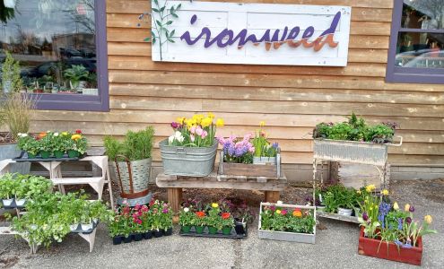 Ironweed Gifts and Floral