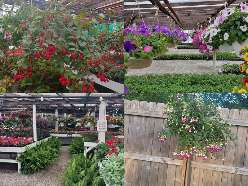 Main's Flower Garden