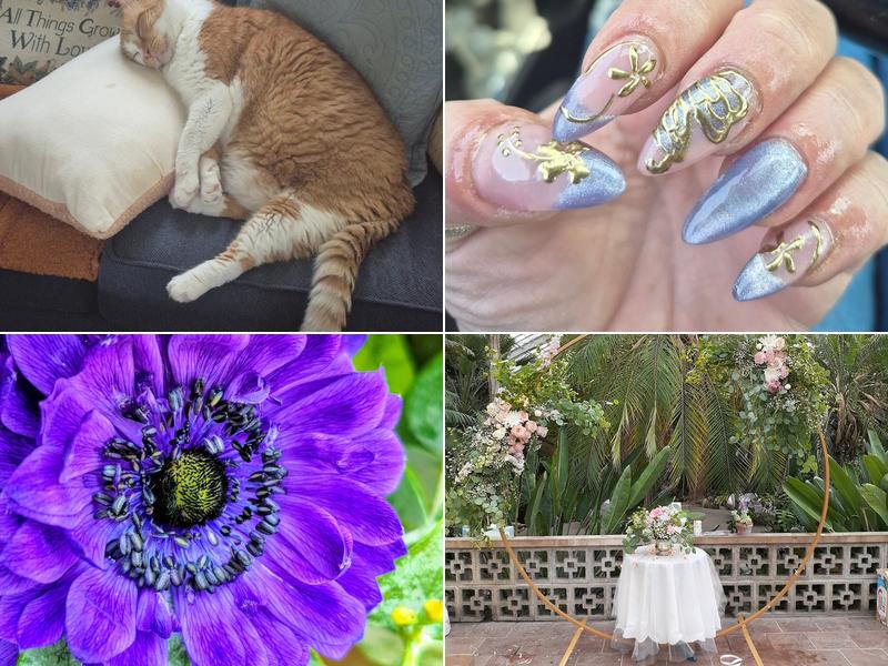 Andrea's Arrangements