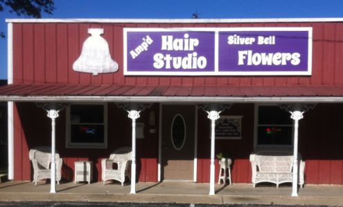 Silver Bell Flowers 506 Lincoln Ave, Cloverdale Indiana 46120