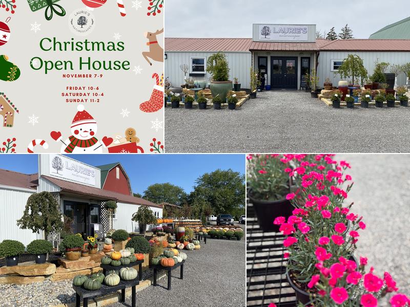 Laurie's Naturescapes