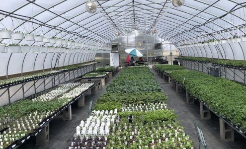 Jim's Greenhouse 2407 280th St, Montrose Iowa 52639