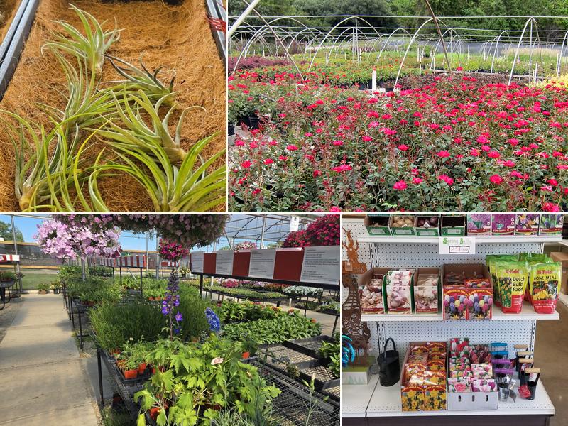 Horticultural Services, Inc.