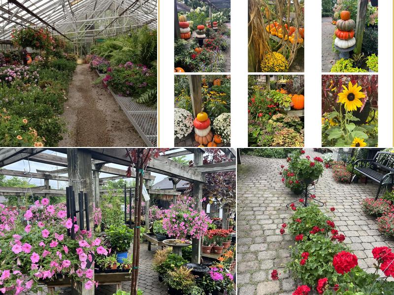 Hatcher's Greenhouse, South Point, OH Reviews (18), Photos (11