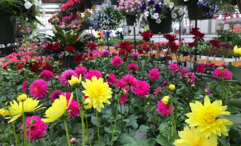 Wentworth Greenhouses 141 Rollins Rd, Rollinsford New Hampshire 03869