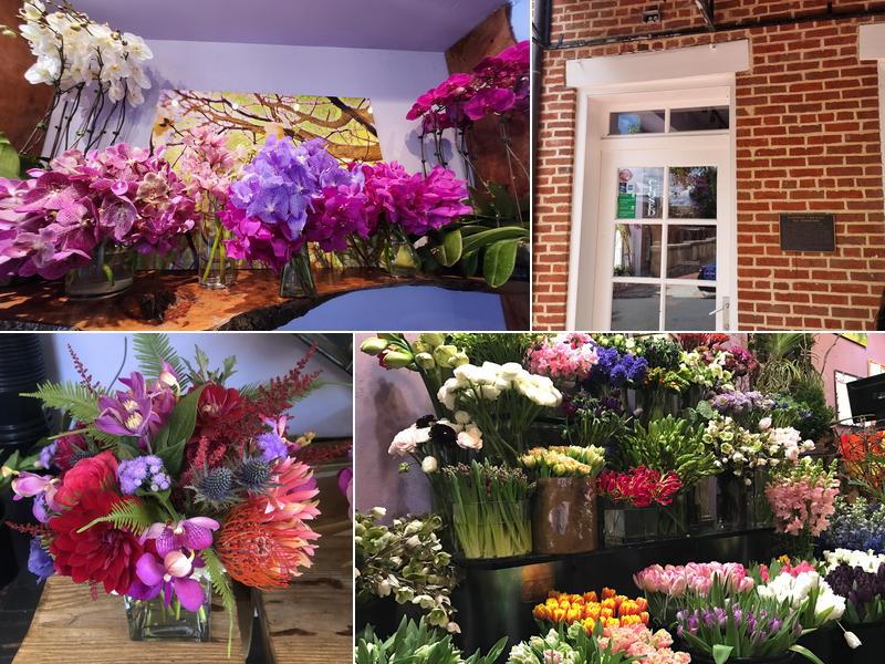 Ultra Violet Flowers