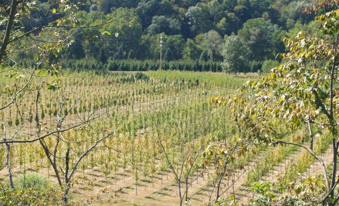 Elhannon Wholesale Nursery 20716 NY-22, Petersburg New York 12138