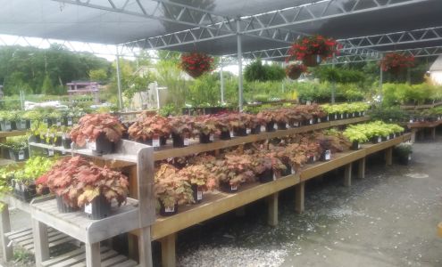 Jardin Mahoneys 541 County Rd, Oak Bluffs Massachusetts 02557