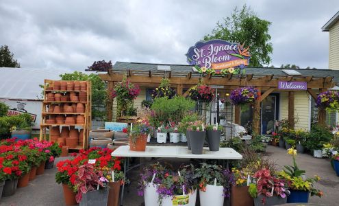 St Ignace In Bloom | Greenhouse & Florist 259 Bertrand St, St Ignace Michigan 49781
