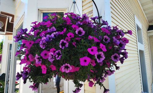 Weber's Floral & Gift 7253 Market St, Mackinac Island Michigan 49757