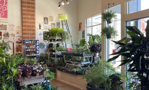 Darling Botanical Company