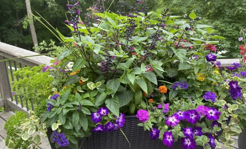 The Backyard Greenhouse 22250 Serpent Shores GPS address: 22250, Co Rd 135, Deerwood Minnesota 56444