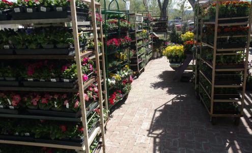 Community Roots & Shoots