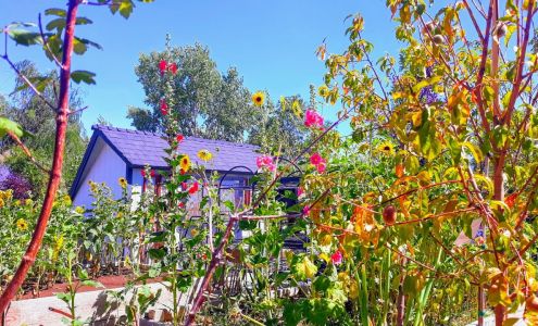 Dayton Valley Floral & Nursery 209 Dayton Valley Rd, Dayton Nevada 89403