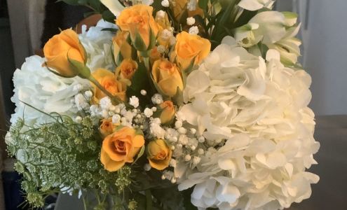 Magic World of Roses