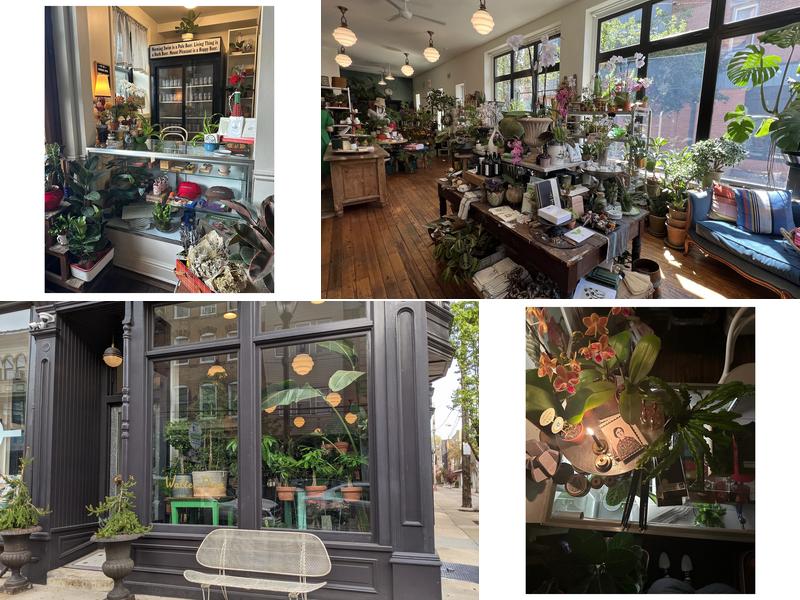 Walter Pine Floral Studio