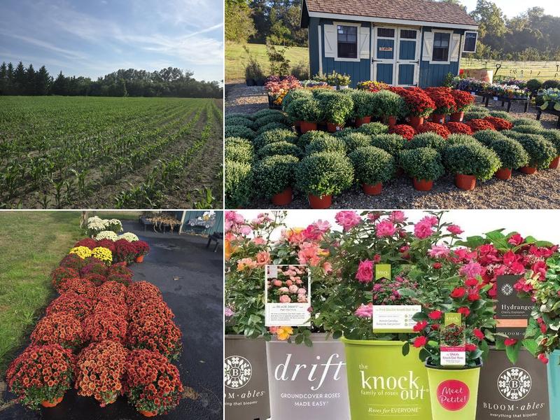 Ferrara's Orchards Farm and Garden Center