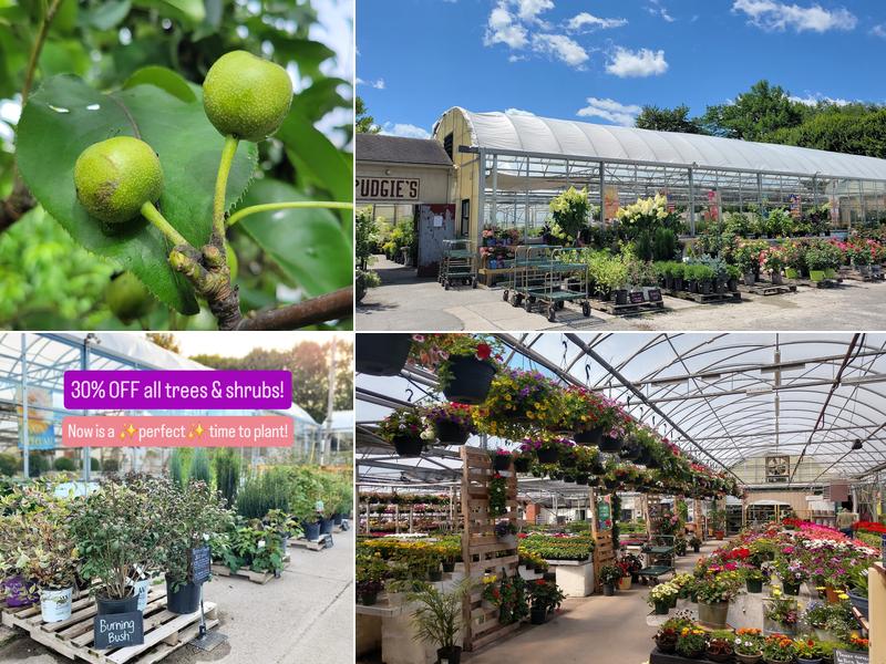 Pudgie's Lawn & Garden