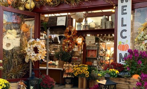 Lily's Carle Place Garden Center 542 Westbury Ave, Carle Place New York 11514