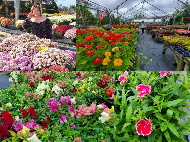 Forge River Nursery & Garden