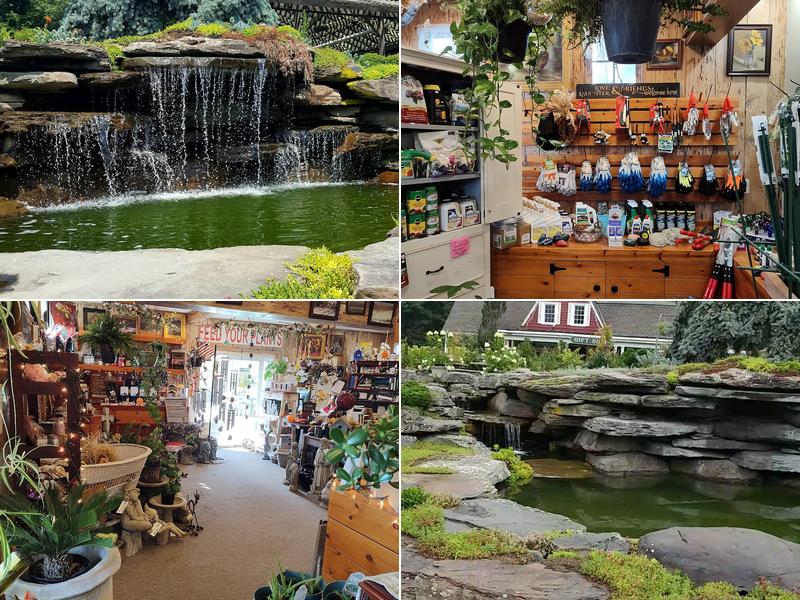 Hickory Hollow Nursery and Garden Center