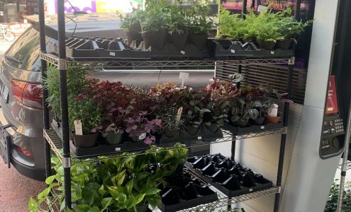 NYC Floral Decorators