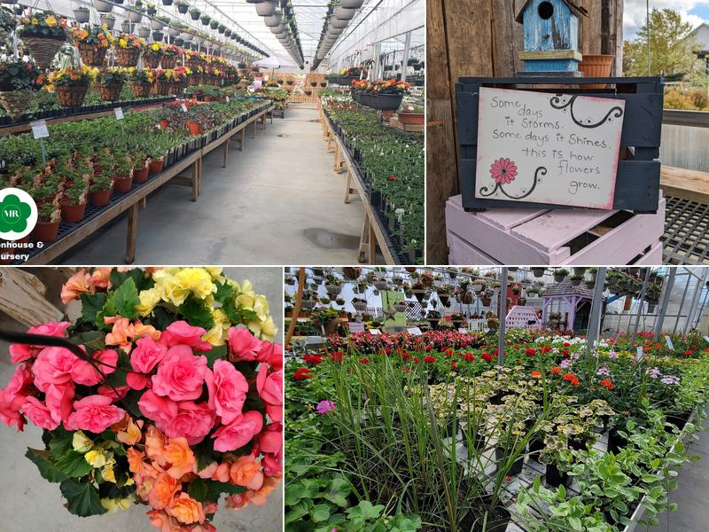 Maple Ridge Farm Greenhouse and Nursery