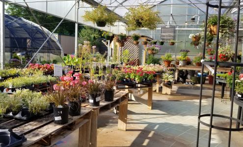 Avery Creek Nursery 2676 NC-108, Columbus North Carolina 28722