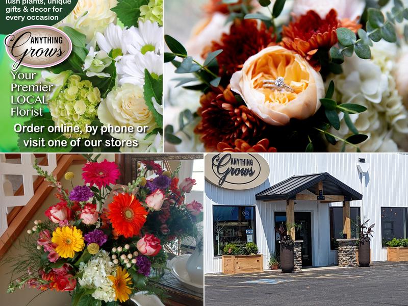 Anything Grows Napoleon