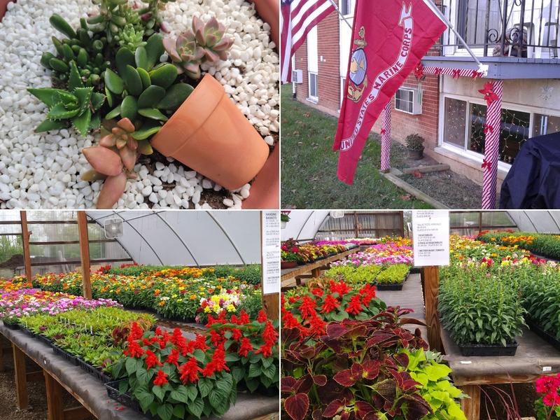 Burkhart Greenhouse & Garden