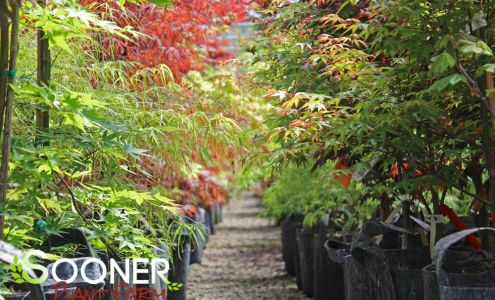 Sooner Plant Farm 25976 S 524 Rd, Park Hill Oklahoma 74451