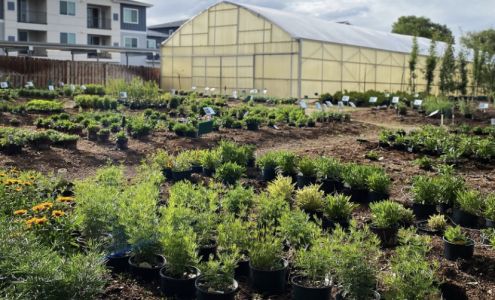 Landsystems Nursery