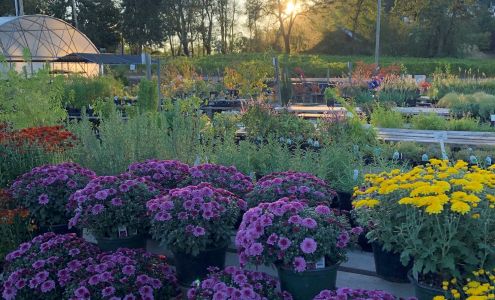 Stafford Ridge Nursery
