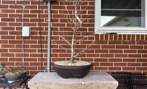 Conestoga Nursery 312 Reading Rd, East Earl Pennsylvania 17519