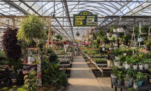 Black Creek Greenhouses 211 E Black Creek Rd, East Earl Pennsylvania 17519