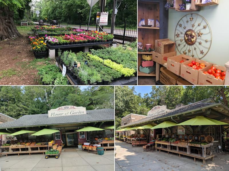 Chestnut Hill Flower & Garden