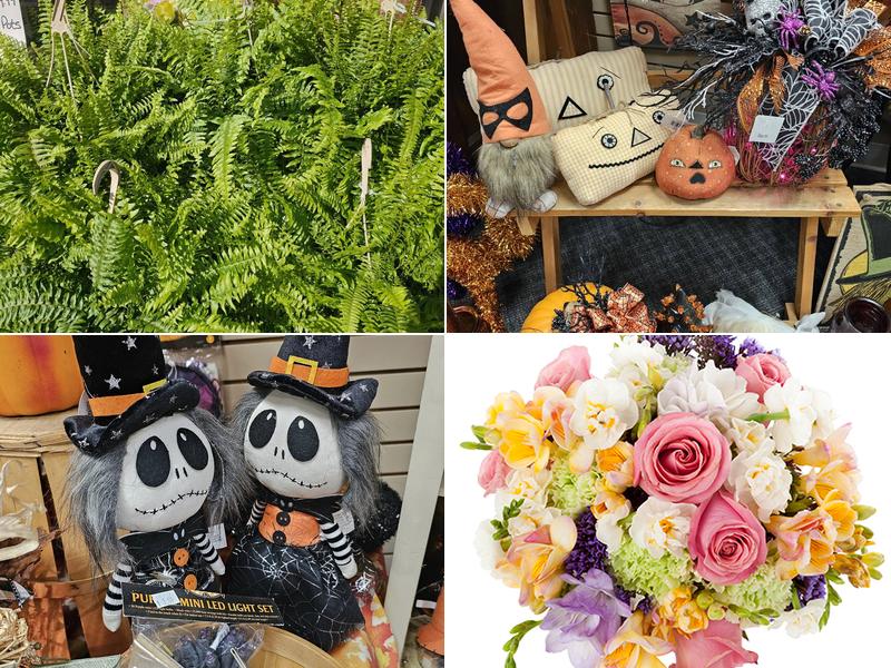 Something Xtra Special