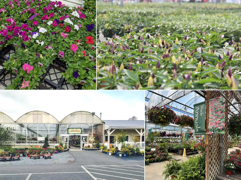 Esbenshade's Garden Centers & Greenhouse