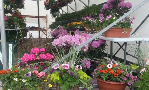 Veg-a-ery On Low Dutch