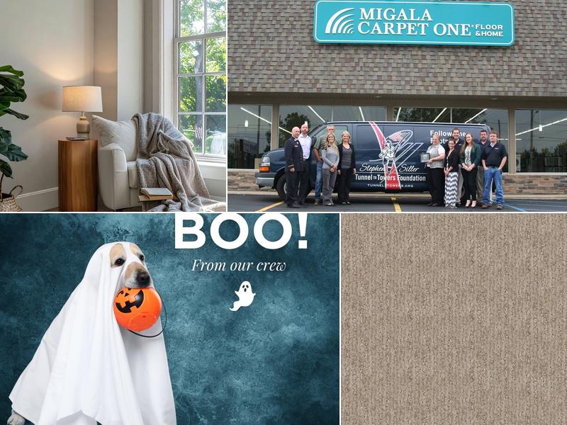 Migala Carpet One Floor & Home