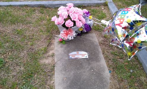 Dot's Flower Shop 565 North St, Bamberg South Carolina 29003