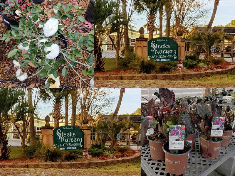 Stack's Nursery