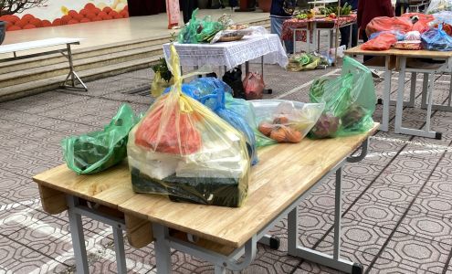 Texas Nature Sunshine Florist