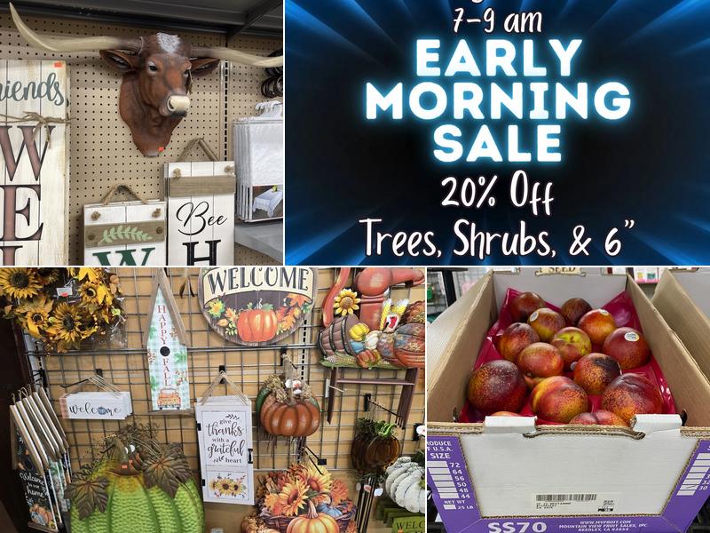 Allred's Yard & Garden